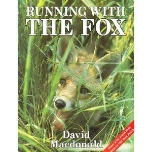 Running with the Fox