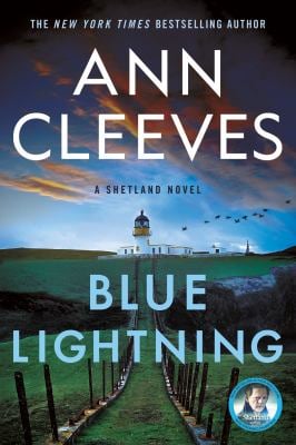 Blue Lightning : A Thriller