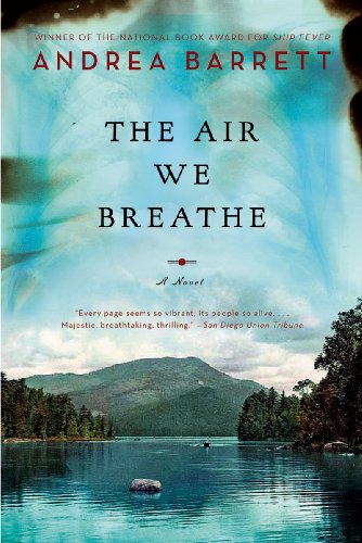 The Air We Breathe : A Novel