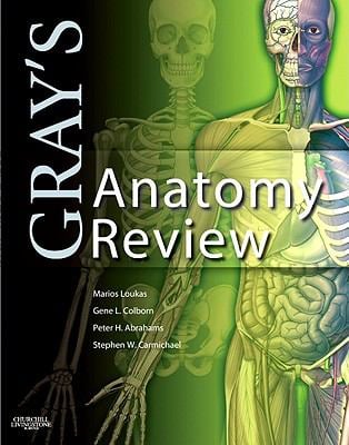 Gray's Anatomy for Students used book by Richard L. Drake, Wayne