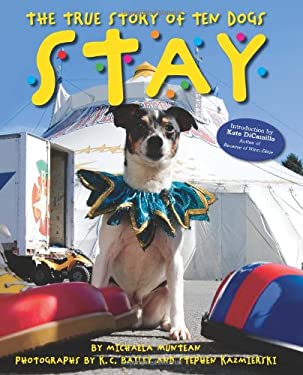 The True Story of Ten Dogs Stay used book by Michaela Muntean