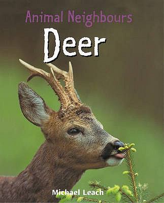 Animal Neighbours : Deer