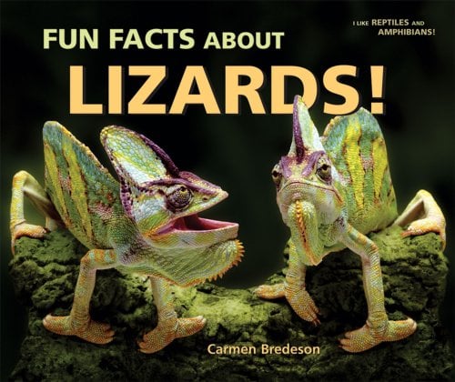 Fun Facts about Lizards! used book by Carmen Bredeson: 9780766027893