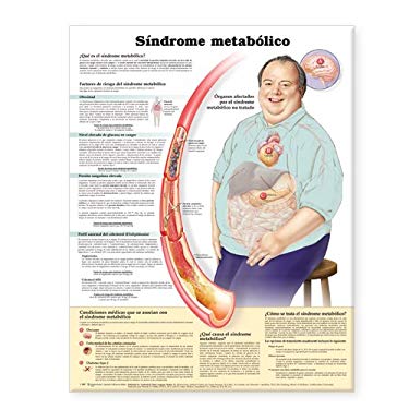 Metabolic Syndrome Anatomical Chart In Spanish Sindrome Metabolico