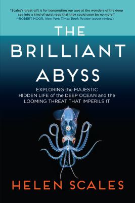 The Brilliant Abyss : Exploring the Majestic Hidden Life of the Deep Ocean, and the Looming Threat That Imperils It