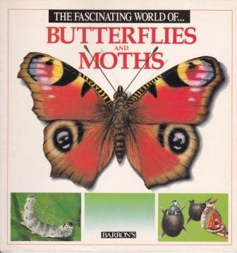 The Fascinating World of Butterflies used book by José María Parramón