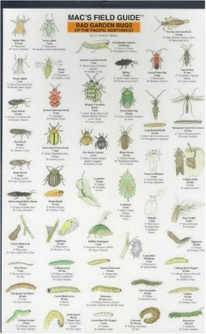 Bad Garden Bug Picture Identification