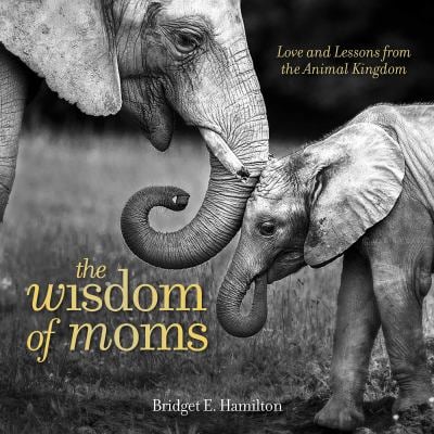 The Wisdom of Moms : Love and Lessons from the Animal Kingdom
