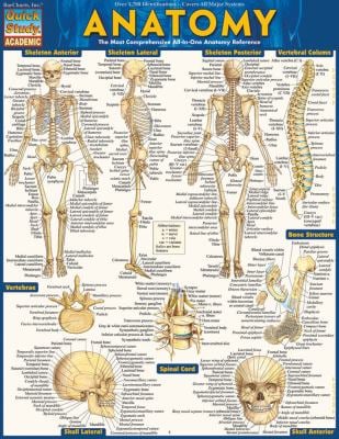 Sarrafian's Anatomy of the Foot and Ankle : Descriptive