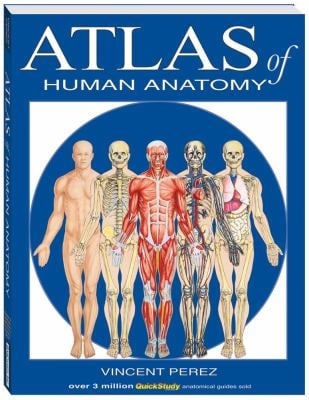 洋書 A Colour Atlas of Human Anatomy A Colour Atlas of Human Anatomy (McMinn's Color Atlas of Human
