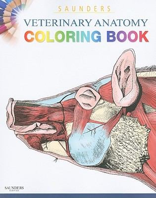 97 Anatomy Coloring Book Reviews Free 97 Anatomy Coloring Book Reviews Free