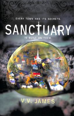 Sanctuary : The Top Ten Sunday Times Bestseller