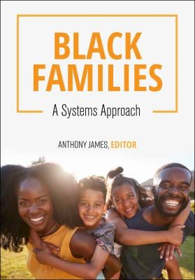 Black Families : A Systems Approach