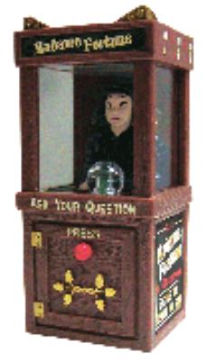 Madam Fortune Teller Voice Magnet book: 9781572813533