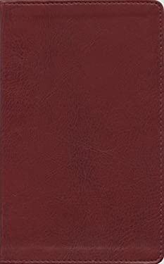 The Message - Remix : The New Testament in Contemporary Language