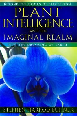 Plant Intelligence and the Imaginal Realm : Beyond the Doors of Perception into the Dreaming of Earth