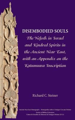 Disembodied Souls book by Richard Steiner: 9781628370782