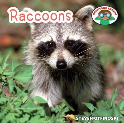 Raccoons used book by Steven Otfinoski: 9781627123013