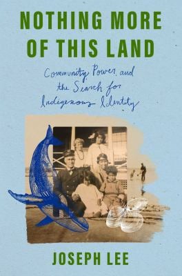 Nothing More of This Land : Community, Power, and the Search for Indigenous Identity