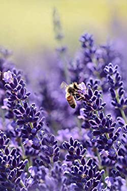 Lavender : Lavender Is an Herb. the Flower and the Oil of Lavender Are Used  to Make Medicine. Lavender Is Commonly Used for Anxiety, Restlessness, Ins  book by Planners and Journals: 9781798988084