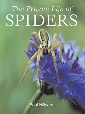 Private Life of Spiders