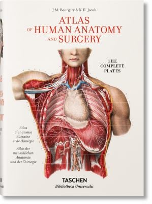 Color Atlas of Anatomy used book by Johannes W. Rohen, E