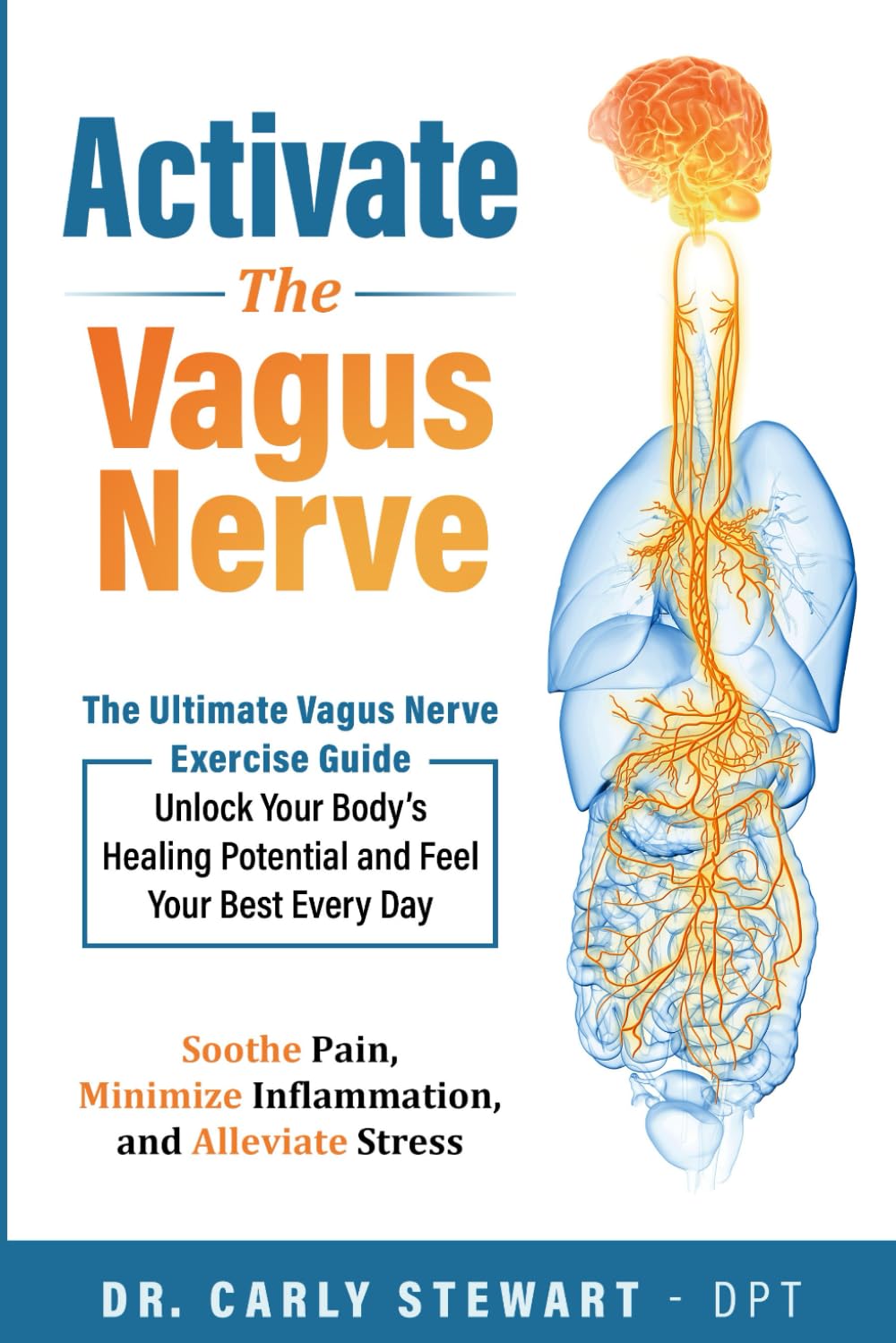 Activate The Vagus Nerve The Ultimate Vagus Nerve Exercise Guide