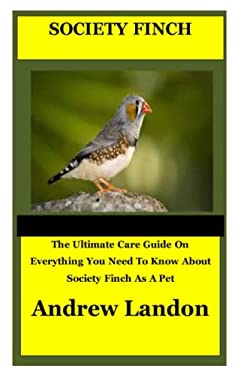 Society Finch: The Ultimate Care Guide On Everything You Need To Know