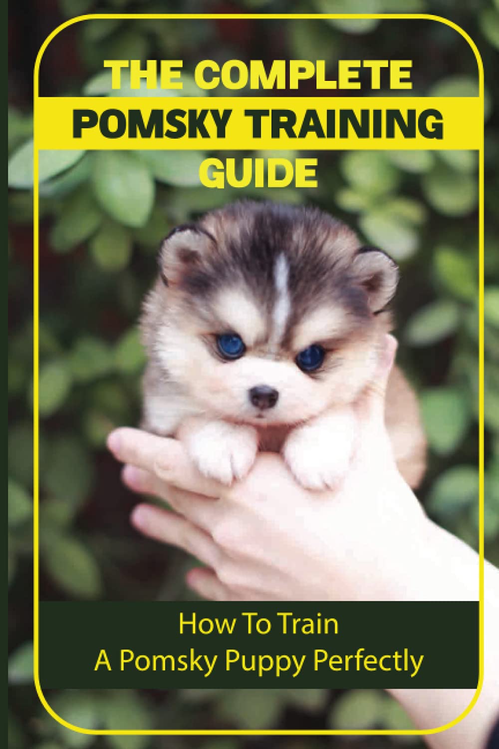 The Complete Pomsky Training Guide How To Train A Pomsky Puppy