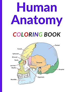 Human Anatomy Coloring Book: Ultimate human body anatomy activity book copy