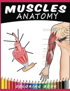 Muscles Anatomy Coloring Book: A Human Muscular System Anatomy and ...