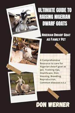 Ultimate Guide To Raising Nigerian Dwarf Goats: Nigerian Dwarf Goat as
