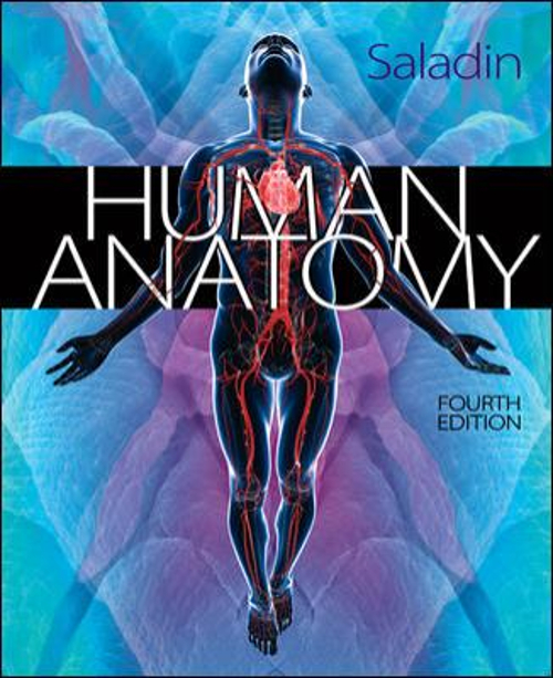 Human Anatomy Hardcover Kenneth S. Saladin