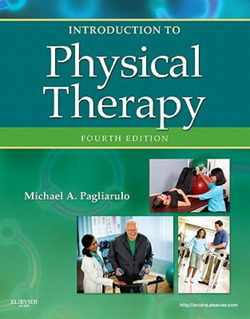 Introduction to Physical Therapy Paperback Michael A. Pagliarulo