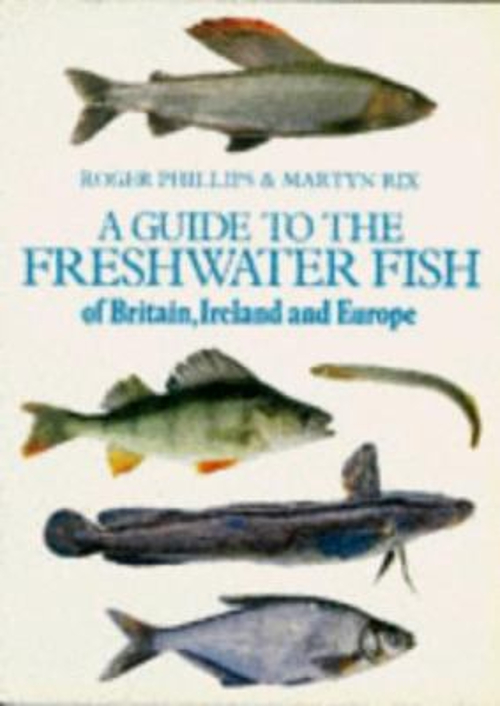 Types Of Fish In Ireland A GUIDE TO the Freshwater Fish of Britain, Ireland and Europe Pap £4.90 ...