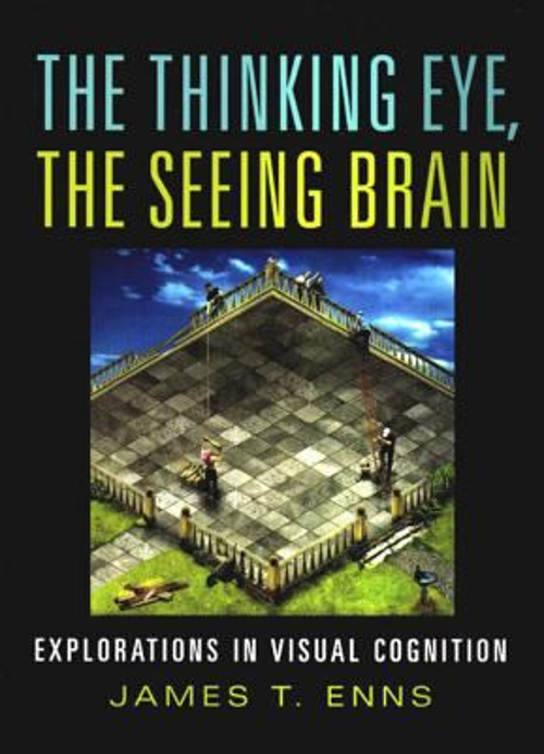 THE THINKING EYE, the Seeing Brain : Explorations in Visual Cogni £4.90 ...