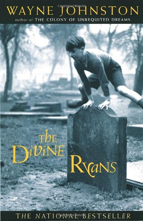 The Rye Divinity The Divine Ryans Paperback Wayne Johnston 9780676971842| eBay