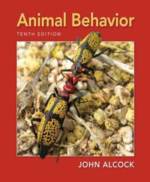Animal Behavior : An Evolutionary Approach Paperback John Alcock