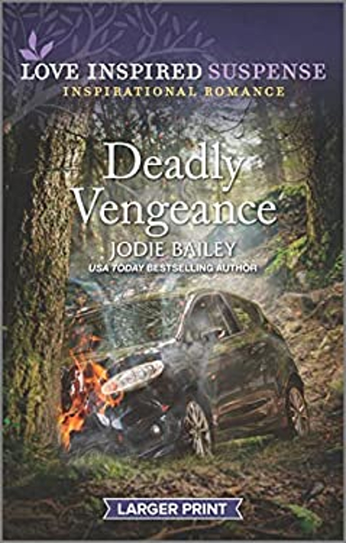 Deadly Vengeance Mass Market Paperbound Jodie Bailey