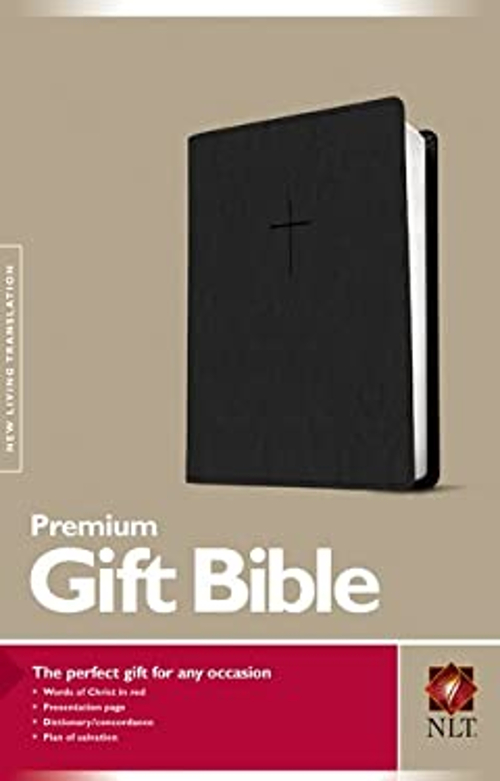 Gift Bible Imitation Leather
