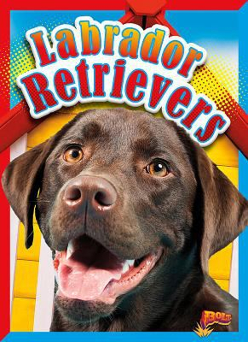 Labrador Retrievers Library Binding Elizabeth Noll