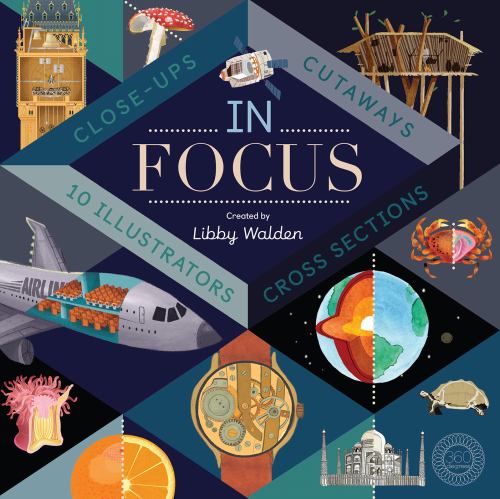 In Focus Hardcover Libby Walden